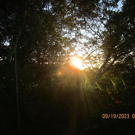 Casa Aquiares Lodge Posada Rural 图里亚尔瓦 外观 照片