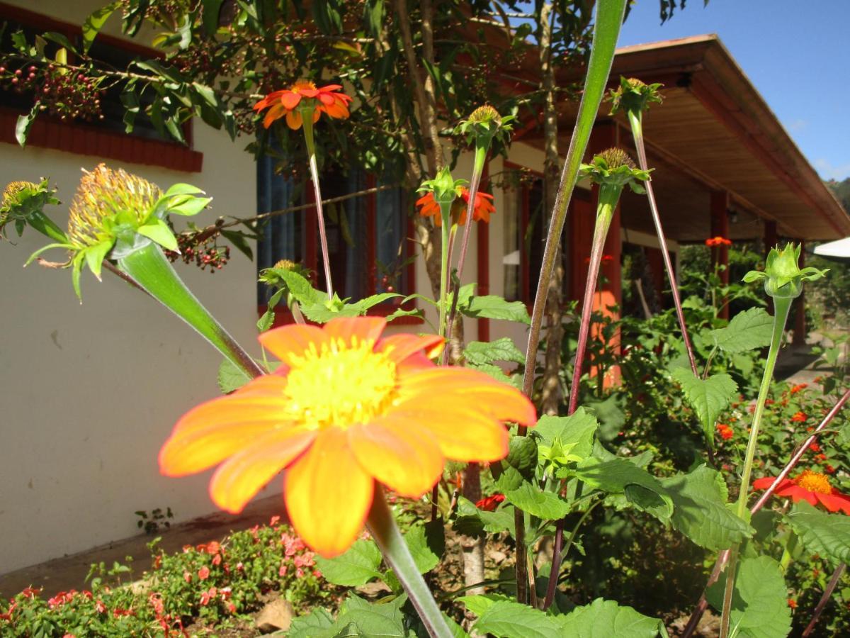 Casa Aquiares Lodge Posada Rural 图里亚尔瓦 外观 照片
